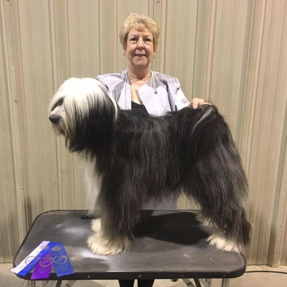 Meet your Posher, Diana - Picture 1 of 1